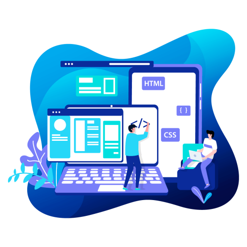 professional web design & development services